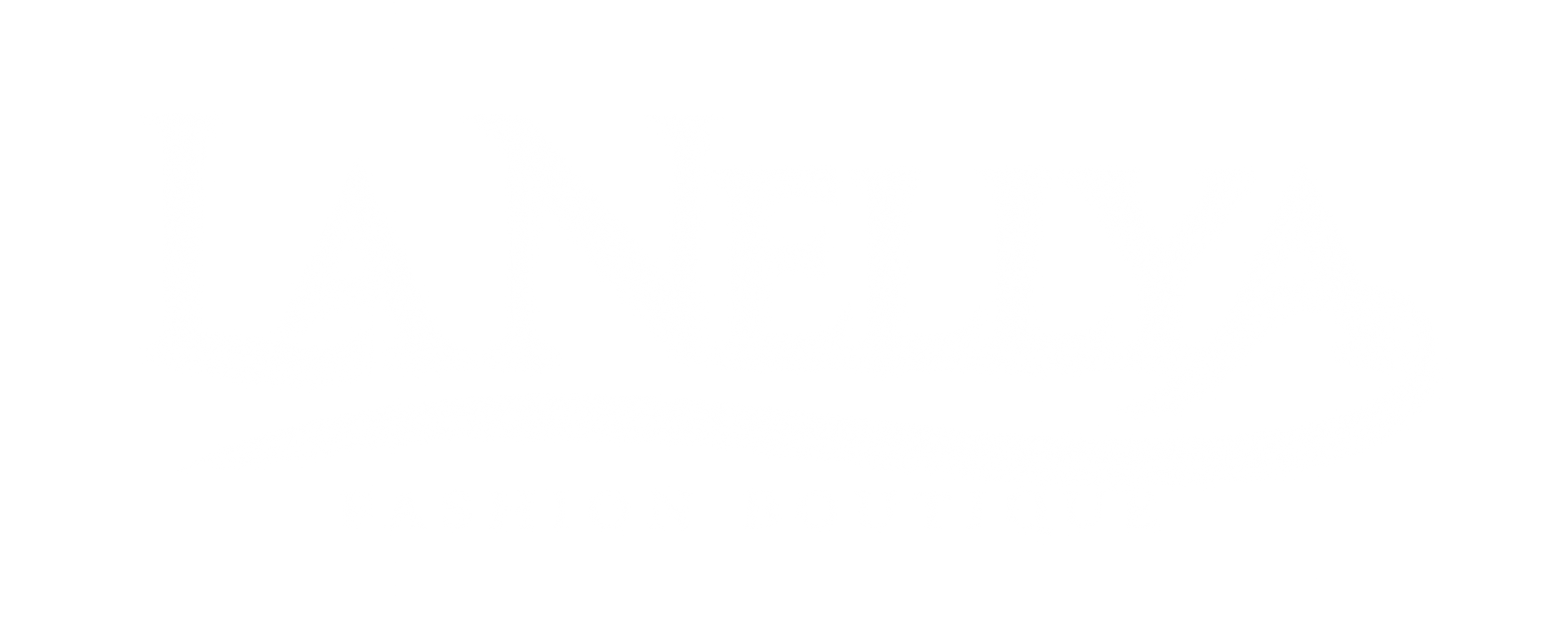 Logo Lanellya Fashion Boutique Weiss